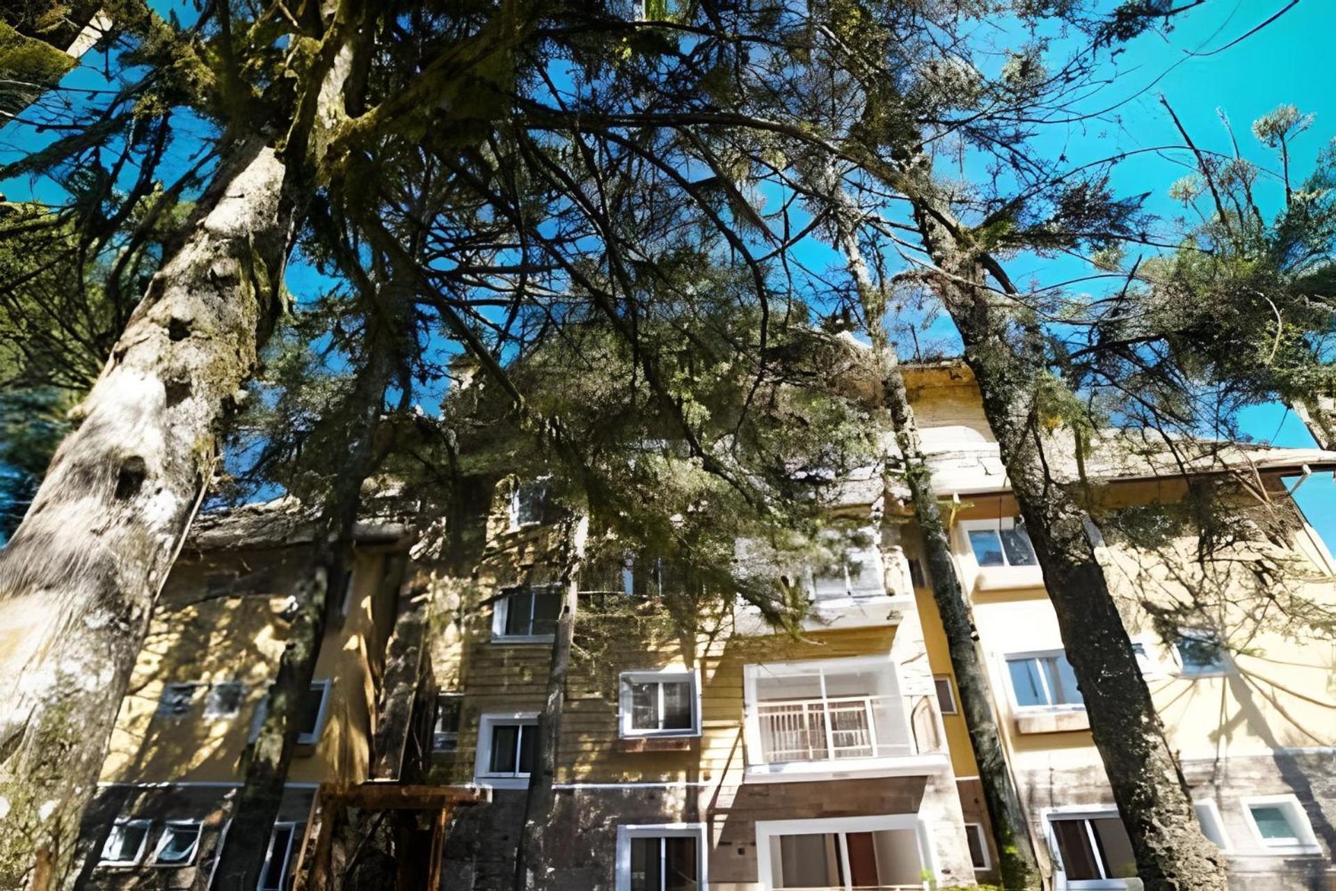 206/2 Apto Luxo Com Piscina Aquecida Gramado Exterior photo